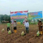 Penanaman Jagung Serentak Kuartal III