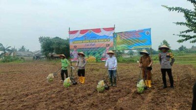 Foto Kegiatan Penanaman Jagung Serentak Kuartal III