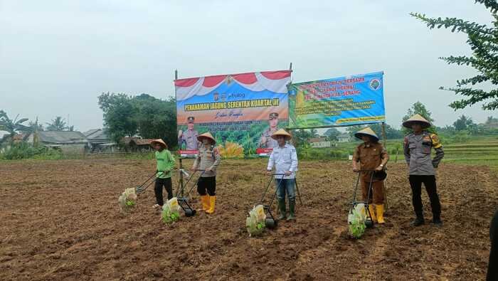 Penanaman Jagung Serentak Kuartal III